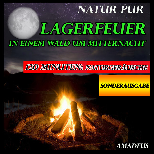 Lagerfeuer in einem Wald um Mitternacht: Natur pur: Sonderausgabe cover art