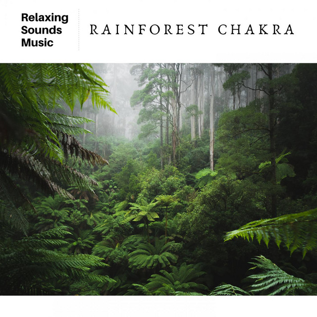 Rainforest Chakra cover art