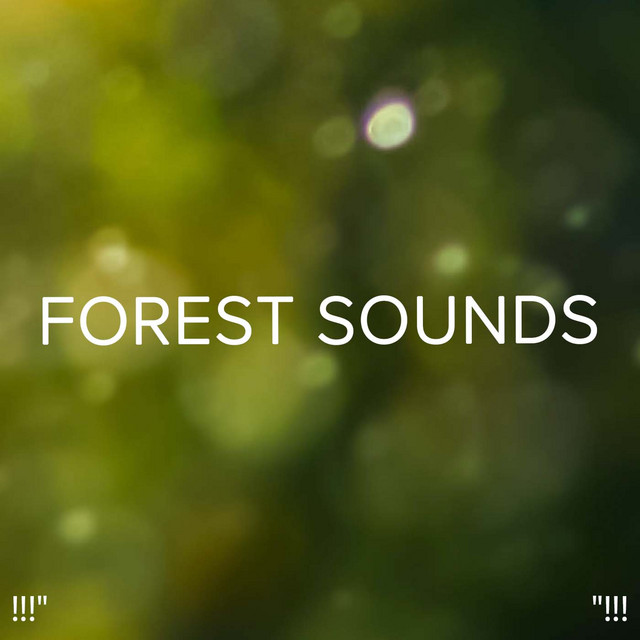 !!!" Forest Sounds "!!! cover art