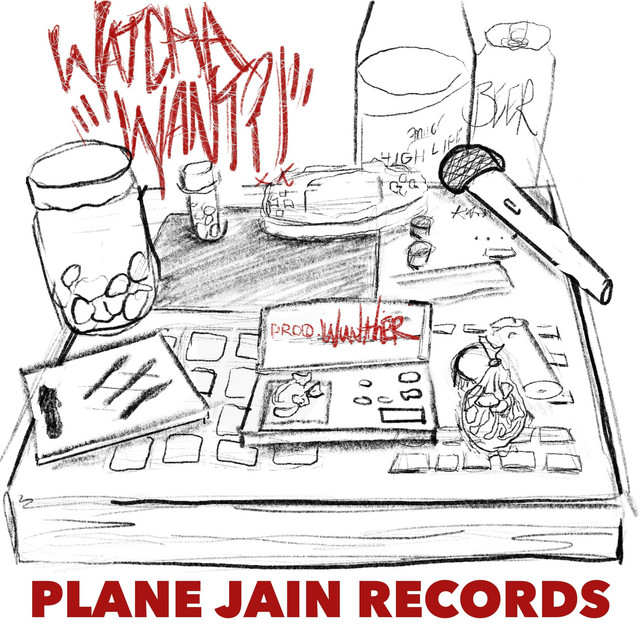 Plane Jain Records