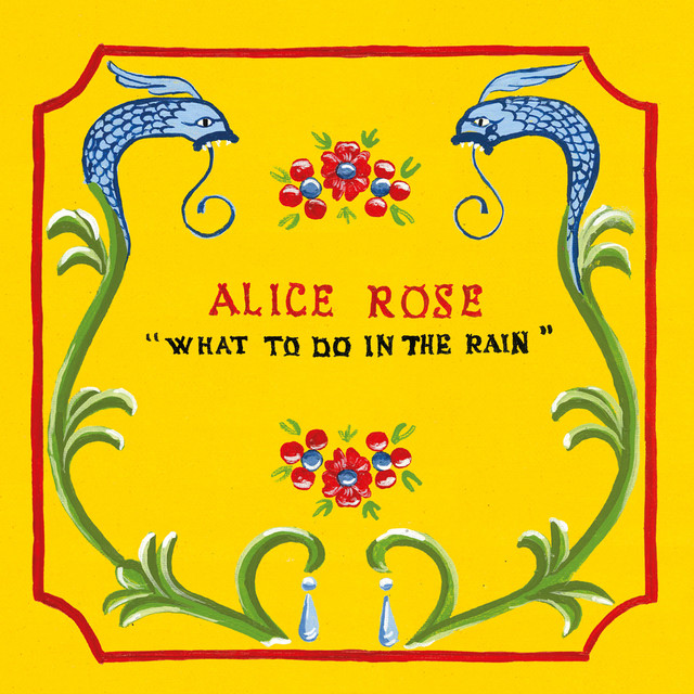 What to Do in the Rain cover art