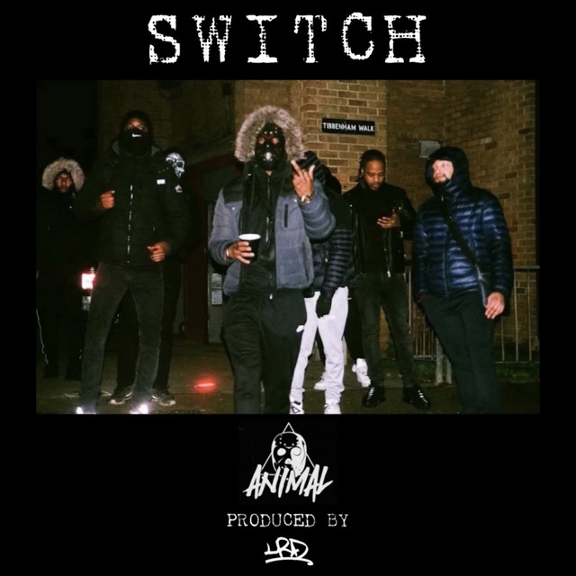 Switch cover art