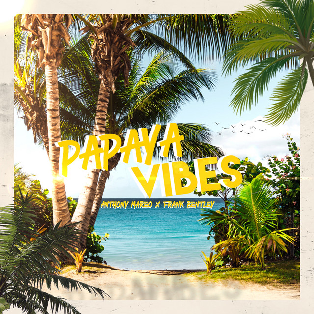 Papaya Vibes cover art