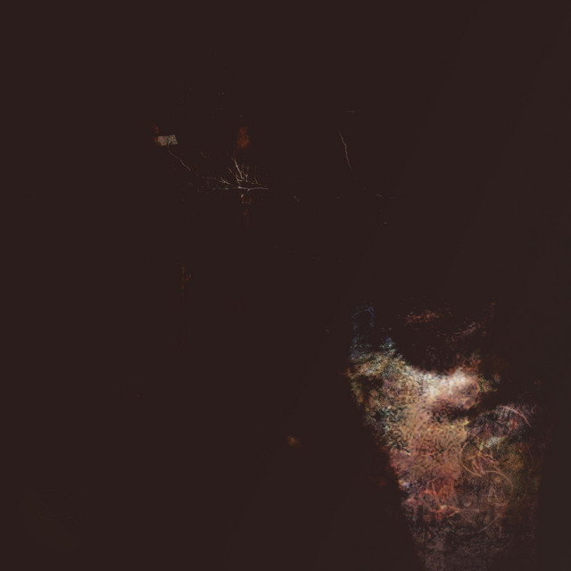 antlergirl cover art