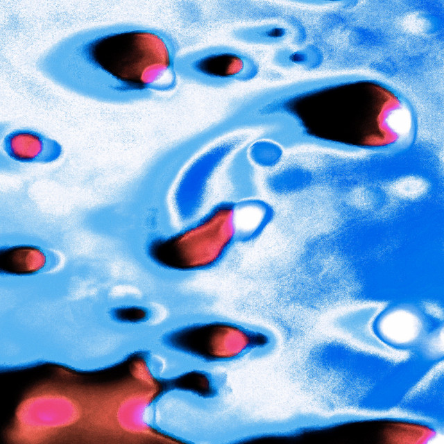 Dans l'eau cover art