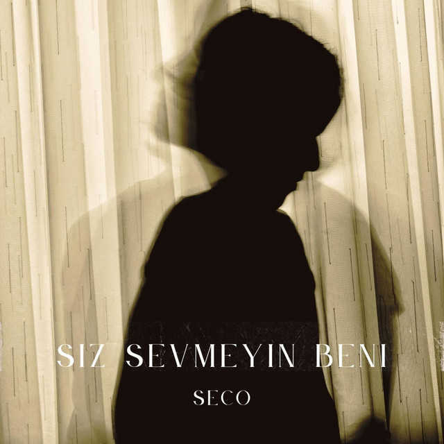 siz sevmeyin beni cover art