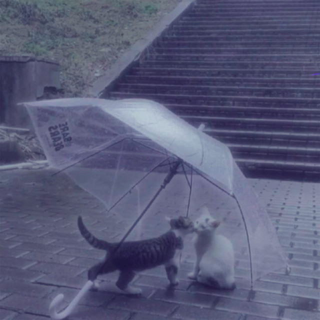 only with you