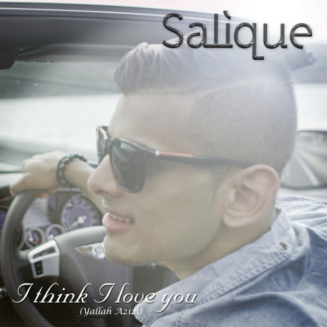 I Think I Love You (Remix) cover