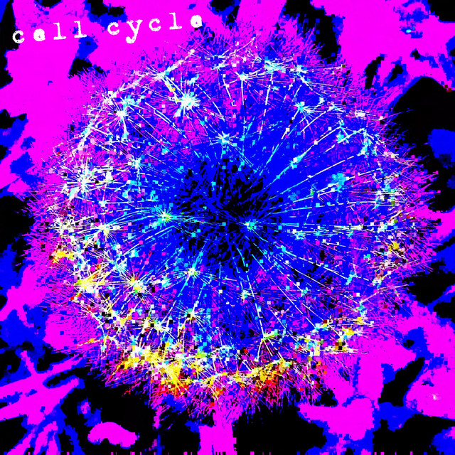 Cell Cycle cover art