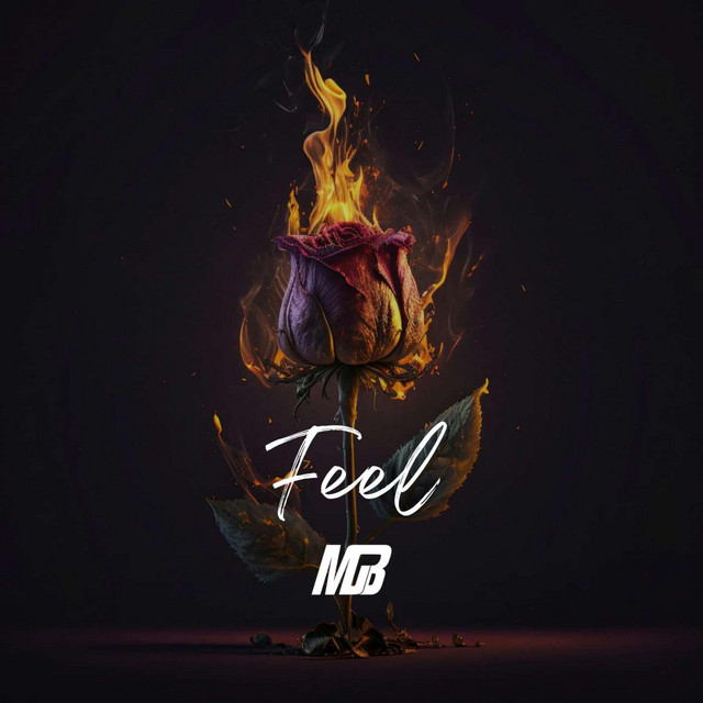 Feel cover art