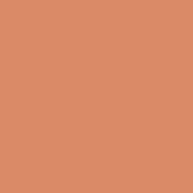 Copper cover art