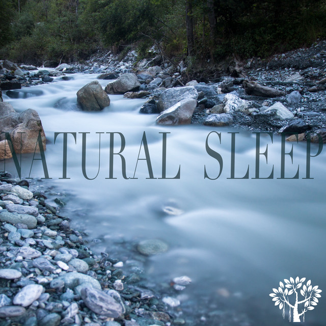 Natural Sleep - Album by Nature Sounds Worldwide | Spotify