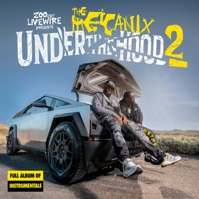 undefined album image