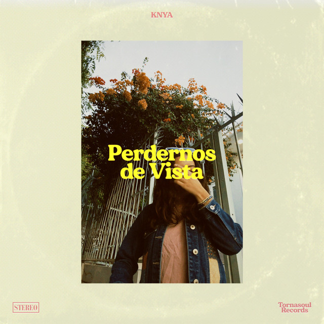 Perdernos de Vista cover art