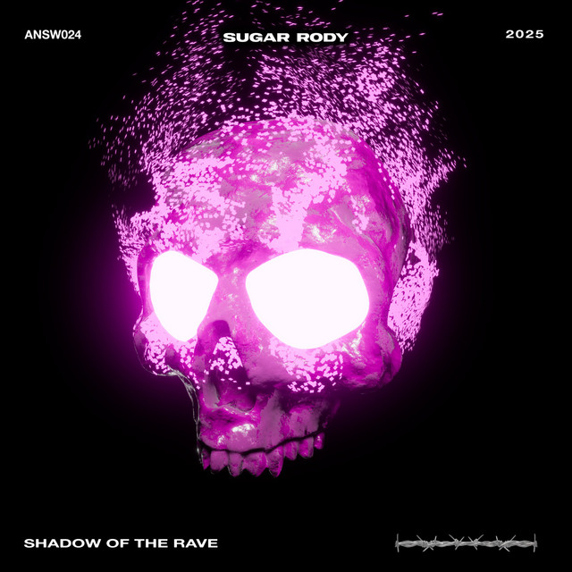 Shadow Of The Rave cover art
