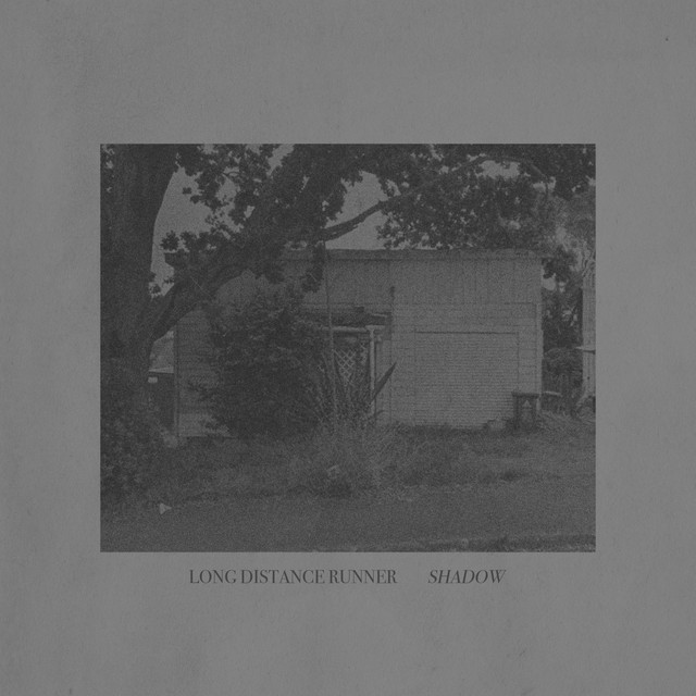 Shadow cover art