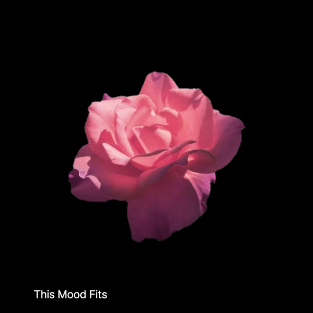 This Mood Fits cover art