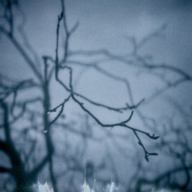 Outgrowth cover art