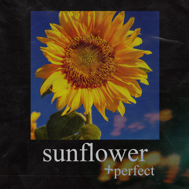 Sunflower + Perfect cover art