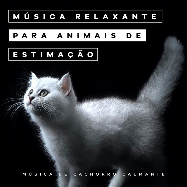 Música relaxante para animais de estimação - Album by Música de ...