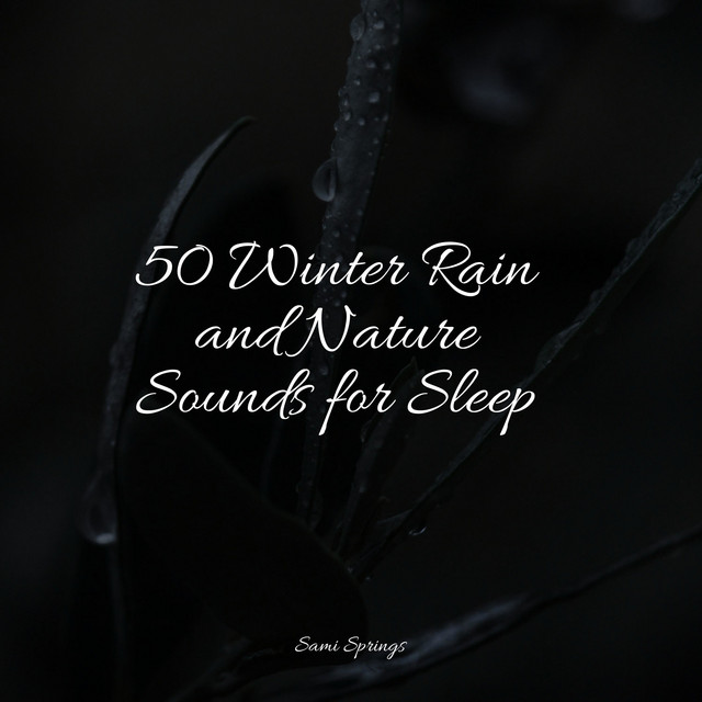 50 Winter Rain and Nature Sounds for Sleep - Album by The Sleep ...