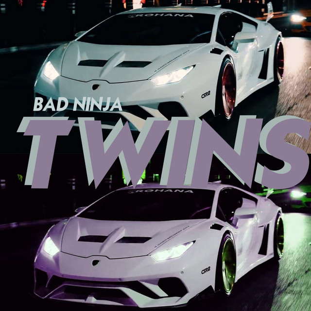 Twins cover art