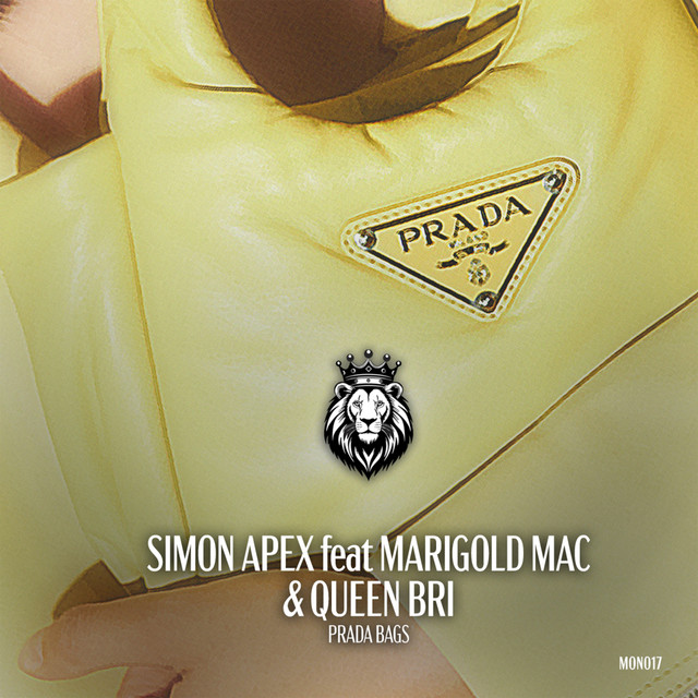 Prada Bags cover art
