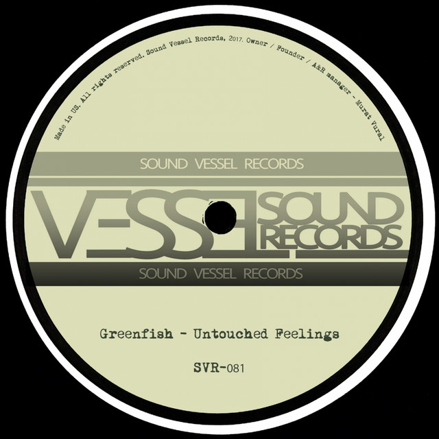 Untouched Feelings - VieL Remix cover art