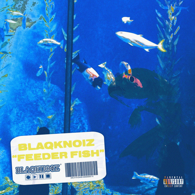 BLAQKNOIZ