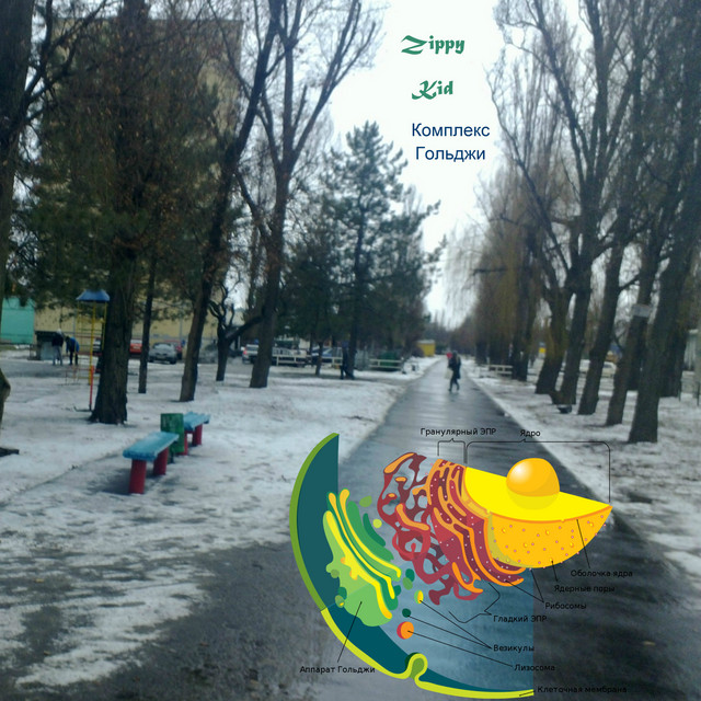 Обкладинка Zippy Kid — Комплекс Гольджи