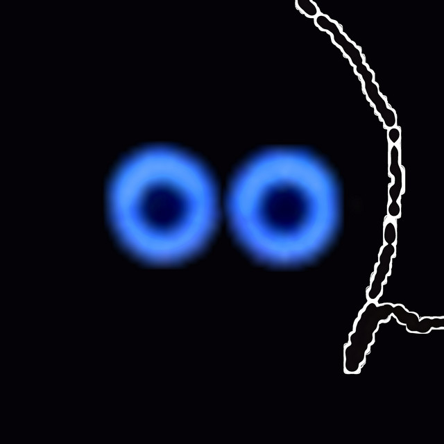 I Will Wait For You cover art
