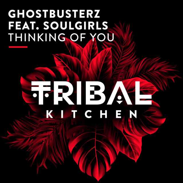 Thinking of You feat. Soulgirls - Extended Mix album art