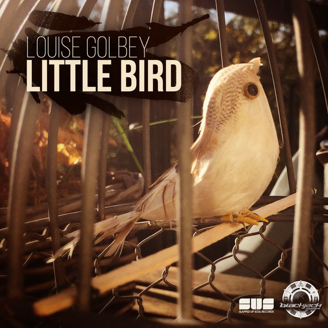 Little Bird cover art