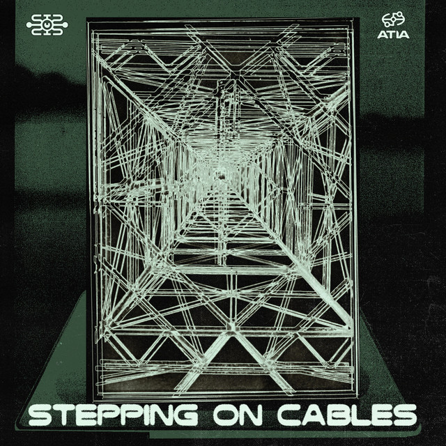 Stepping on Cables album art
