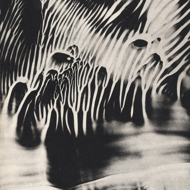 BACKR00MS cover art