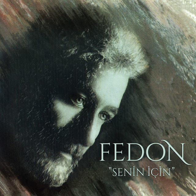 Senin İçin cover art