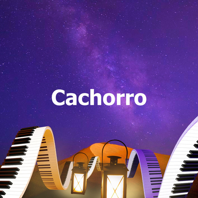 Cachorro cover art