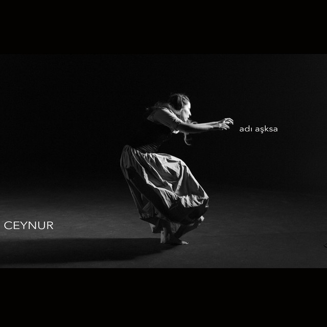 Adı Aşksa cover art