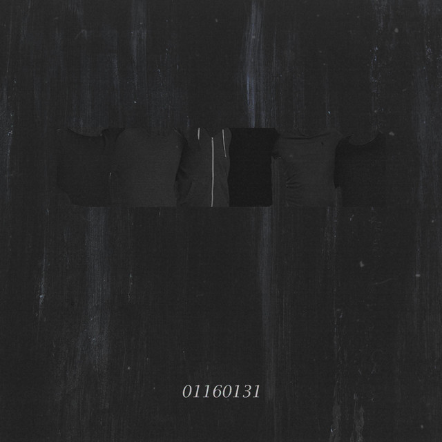 01160131