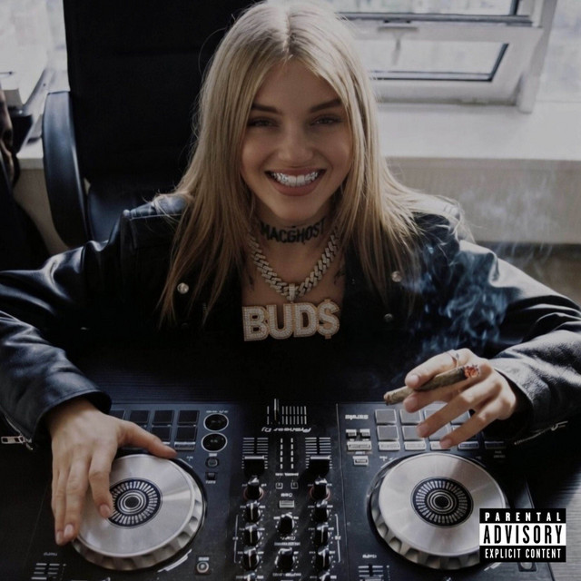 BUD$ ! cover art