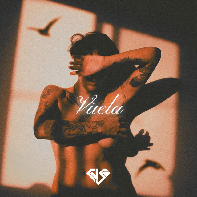 Vuela cover art