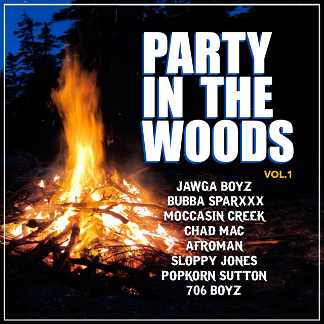 Party in the Woods, Vol. 1 cover art