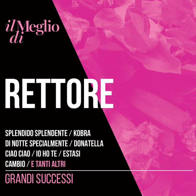 Il meglio di Rettore - grandi successi cover art