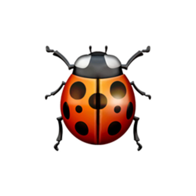 awake after dark – bug