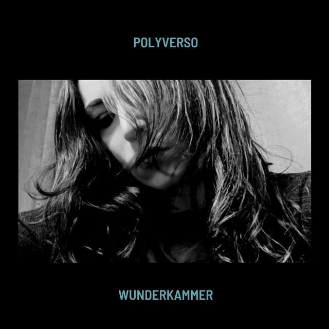 Wunderkammer cover art