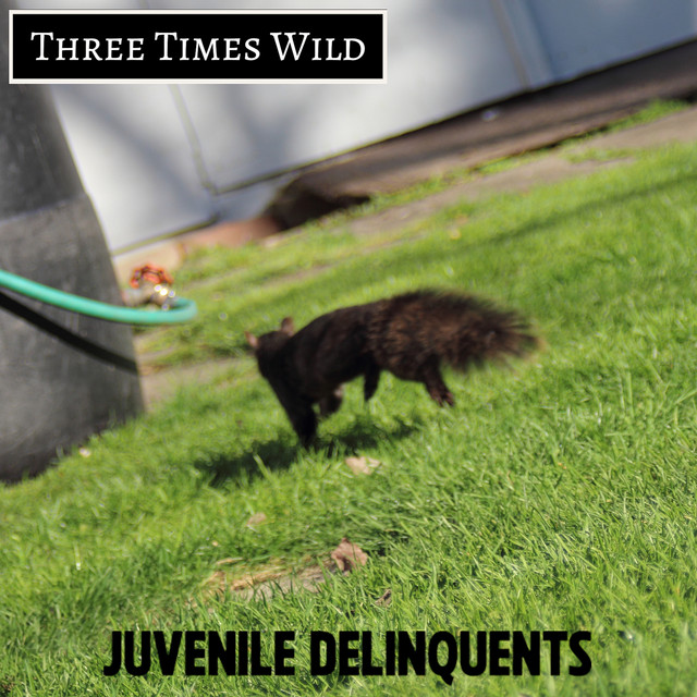 Juvenile Delinquents cover art