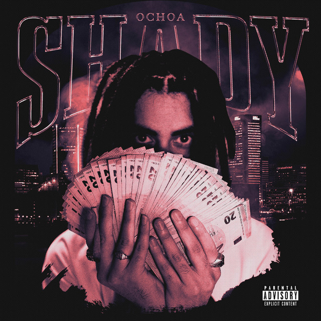 Shady cover art