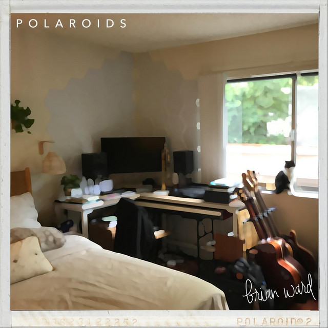 Polaroids cover art