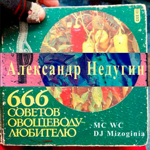 666 советов овощеводу-любителю cover art