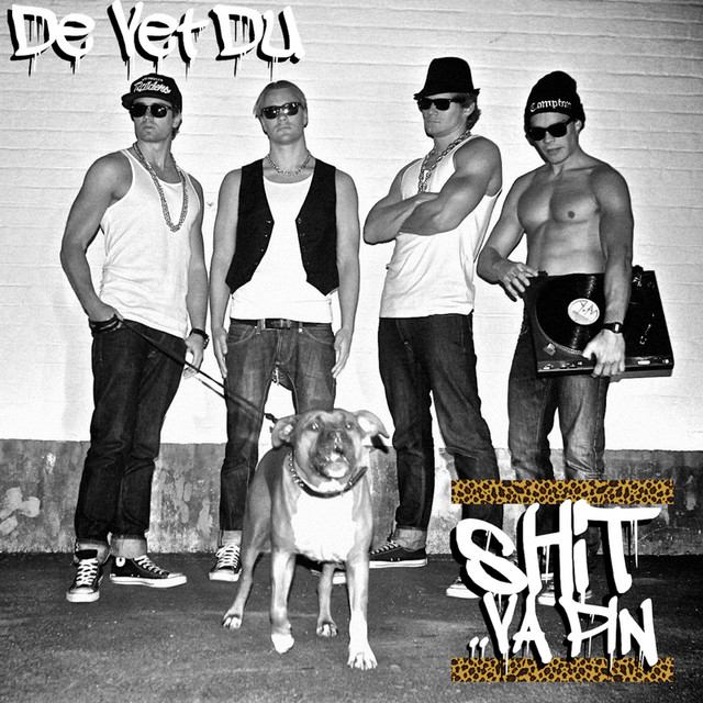 Shit Va Pin cover art